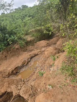 Dhahabu Kilindi