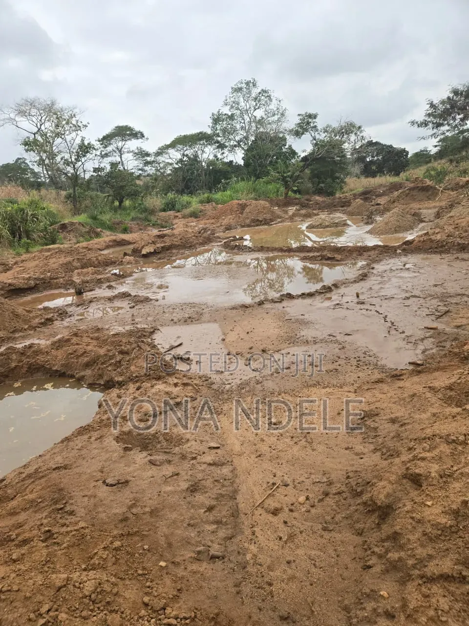 Dhahabu Kilindi
