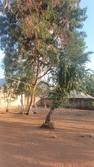 Furnished 8bdrm House in Mkolani for sale