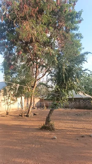 Furnished 8bdrm House in Mkolani for sale