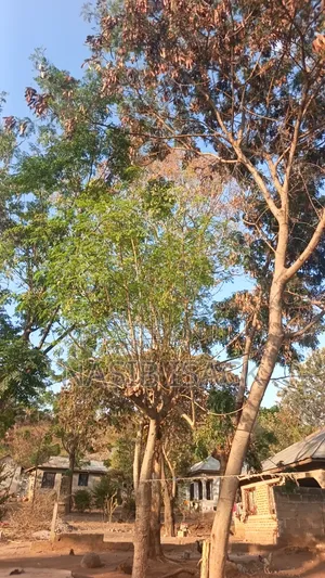 Furnished 8bdrm House in Mkolani for sale