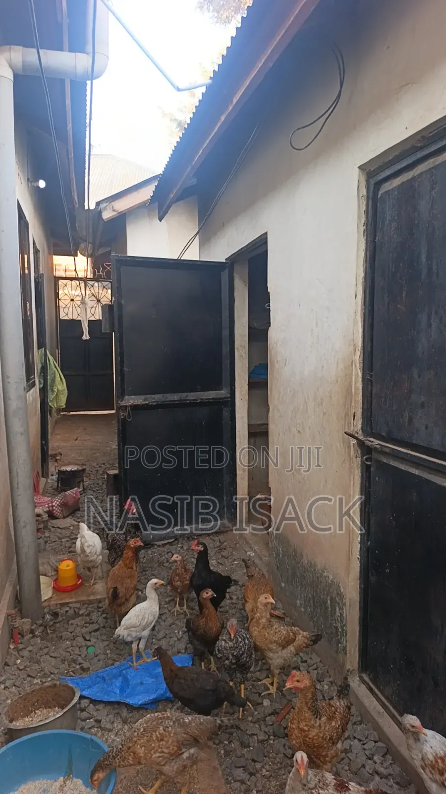 Furnished 8bdrm House in Mkolani for sale