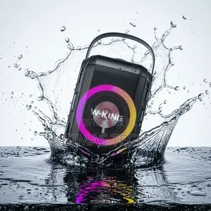 W-King T9S Karaoke Party Speaker With Dual Wireless Microphones