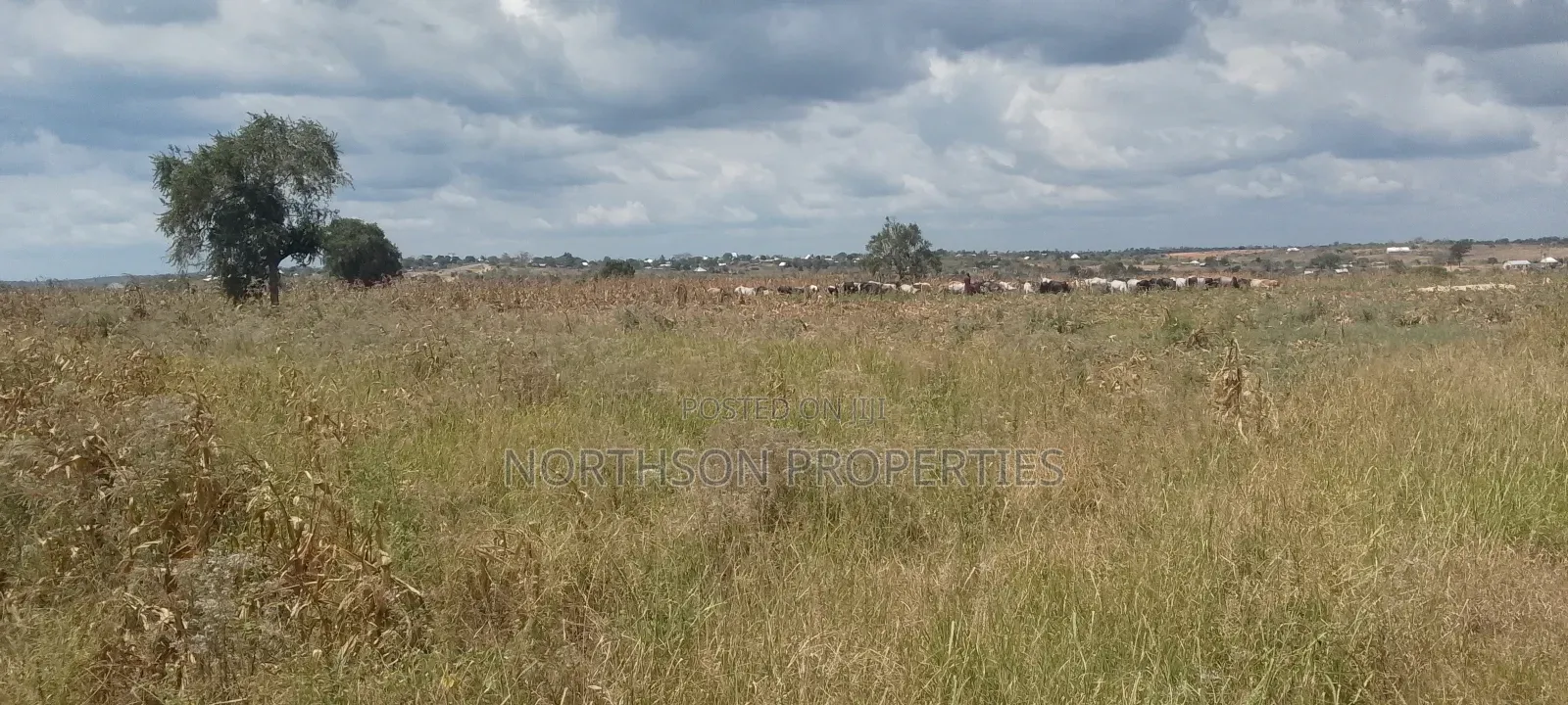 Industrial Plot Bagamoyo