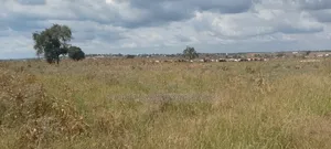 Industrial Plot Bagamoyo