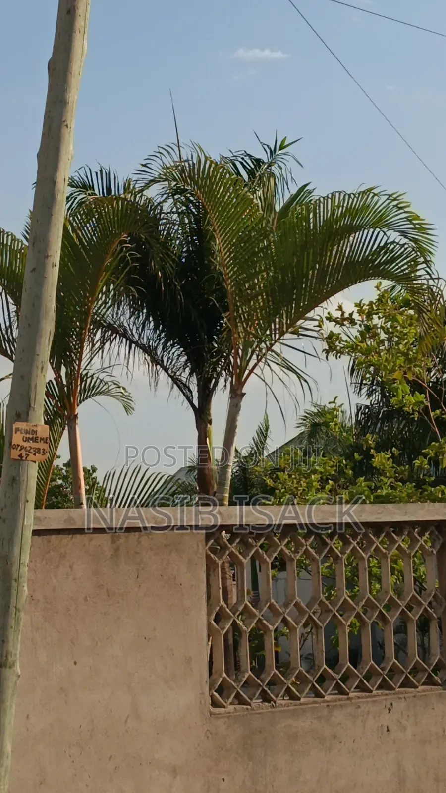 Kiwanja Kinauzwa Mkolan Texas