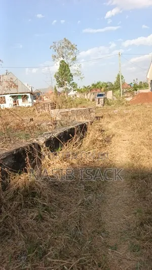 Kiwanja Kinauzwa Mkolan Texas