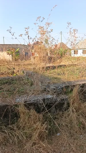 Kiwanja Kinauzwa Mkolan Texas