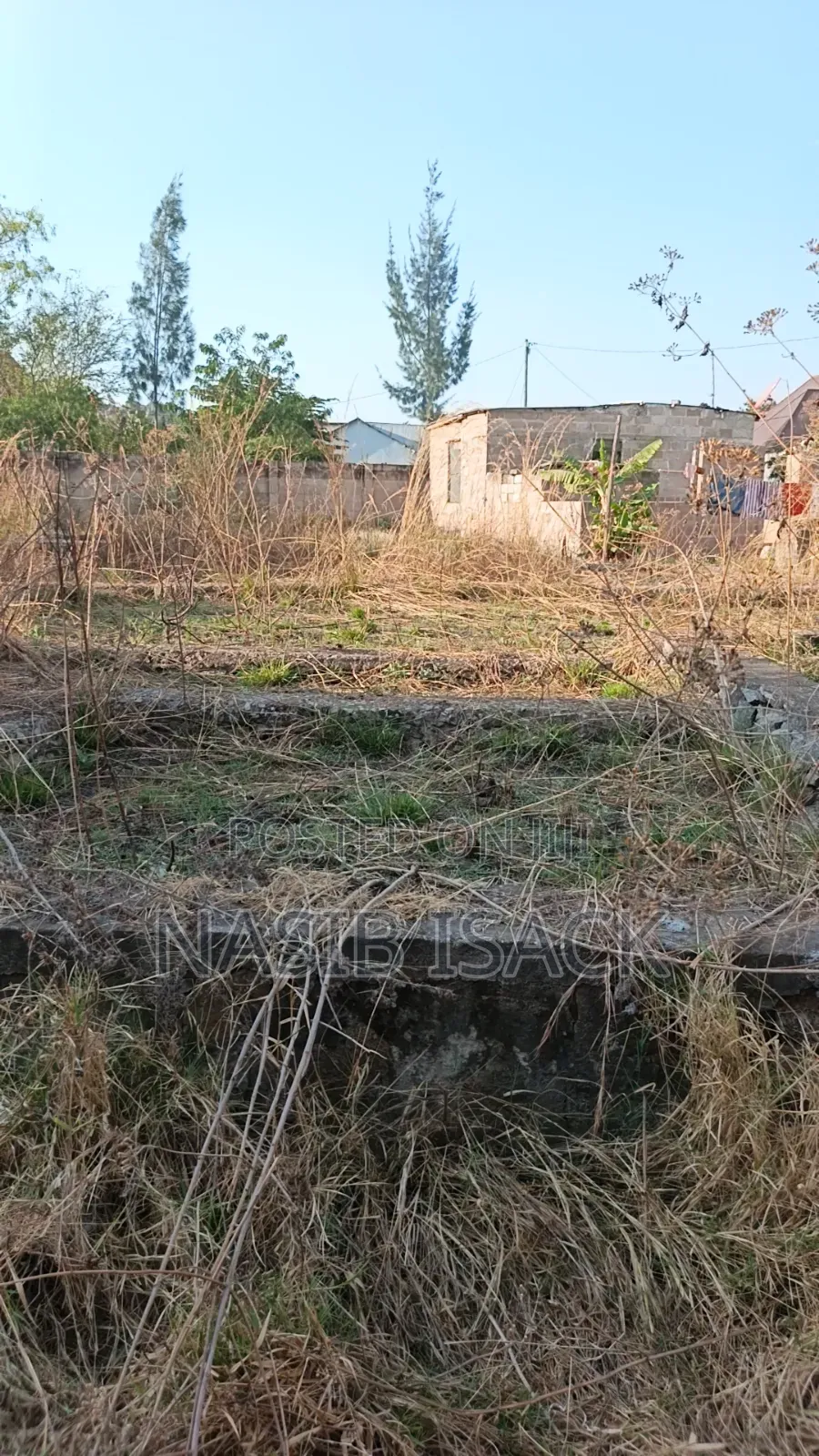 Kiwanja Kinauzwa Mkolan Texas