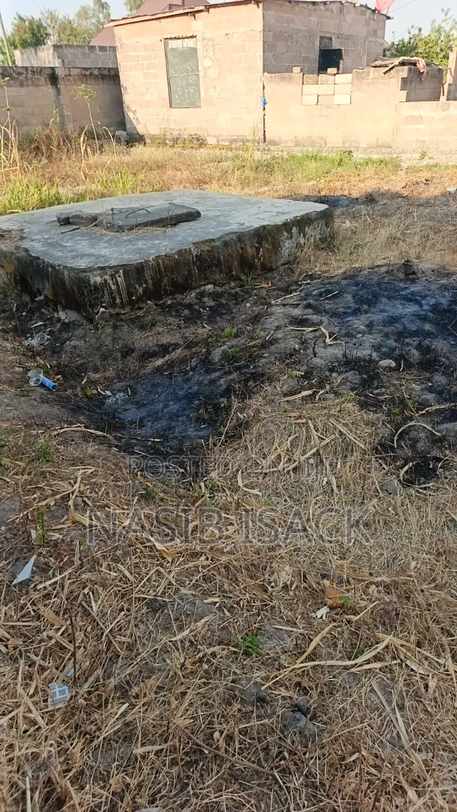 Kiwanja Kinauzwa Mkolan Texas