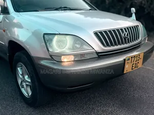 Toyota Harrier 2006 Silver