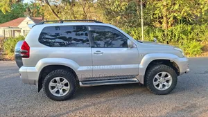 Toyota Land Cruiser Prado 2005 Silver