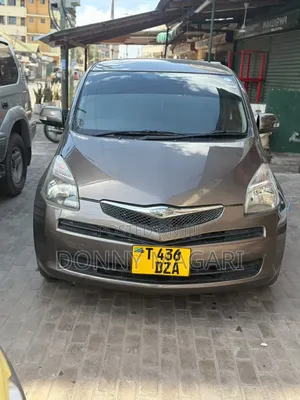 Toyota Ractis 2006 Gray