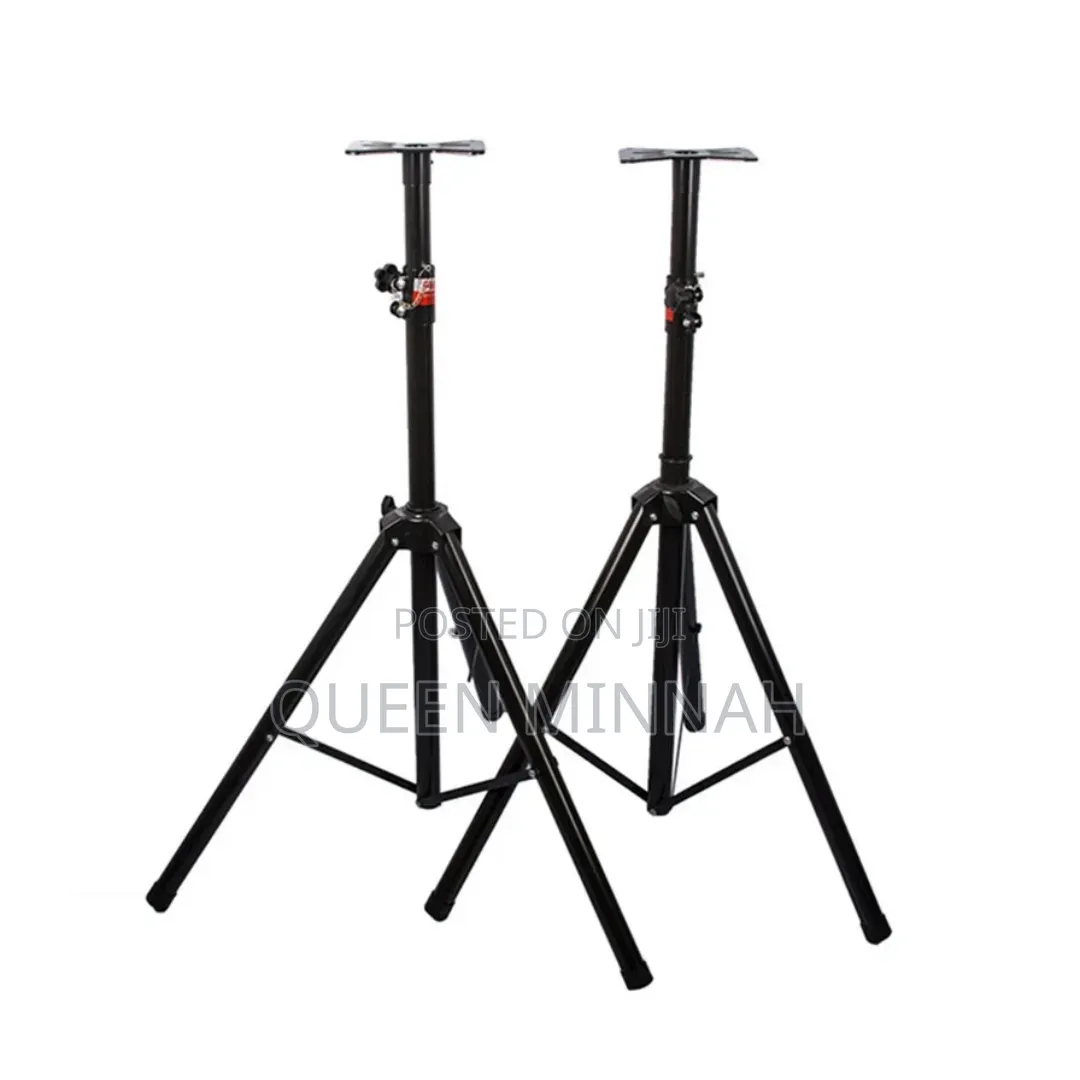 Professional Speaker Stand