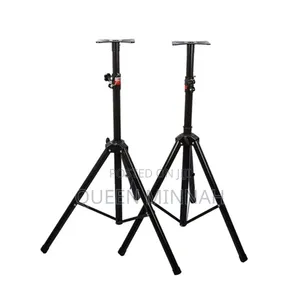 Professional Speaker Stand