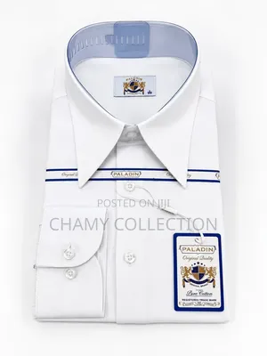 Mens Shart Trend Paladin