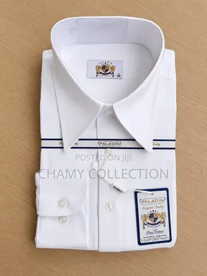 Mens Shart Trend Paladin