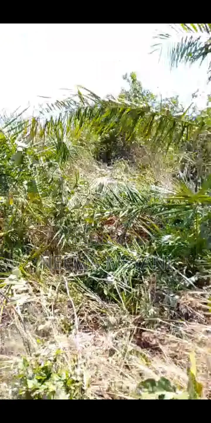 Kiwanja Cha 400 SQM Kinauzwa Kigamboni – Buyuni, Pemba Mnazi!