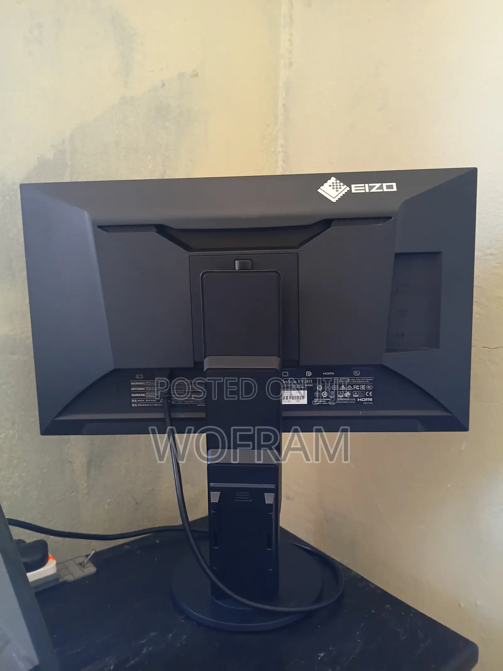 Flexscan EV2451 Monitor