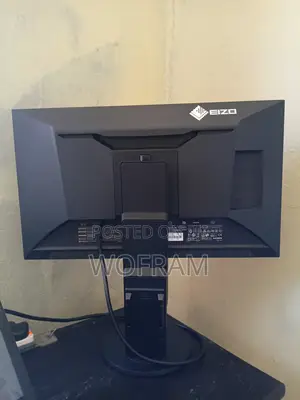 Flexscan EV2451 Monitor