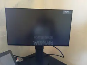 Flexscan EV2451 Monitor