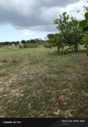 Shamba Linauzwa Bei Nzuri Fukayose Karibu Na Barabara