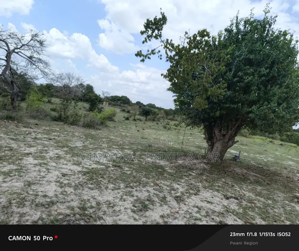 Shamba Linauzwa Bei Nzuri Fukayose Karibu Na Barabara