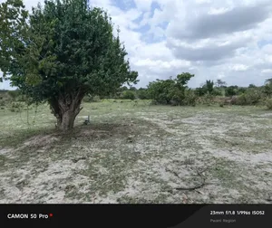 Shamba Linauzwa Bei Nzuri Fukayose Karibu Na Barabara