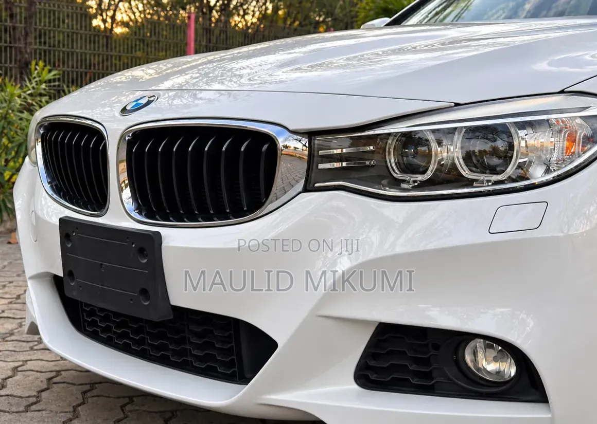 BMW 3 Series 2013 White