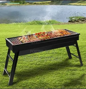 Portable BBQ Charcoal