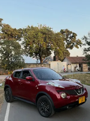 Nissan Juke 2011 Maroon