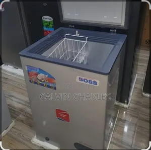 Boss Freezer 100l