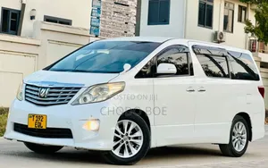 Toyota Alphard 2009 Pearl