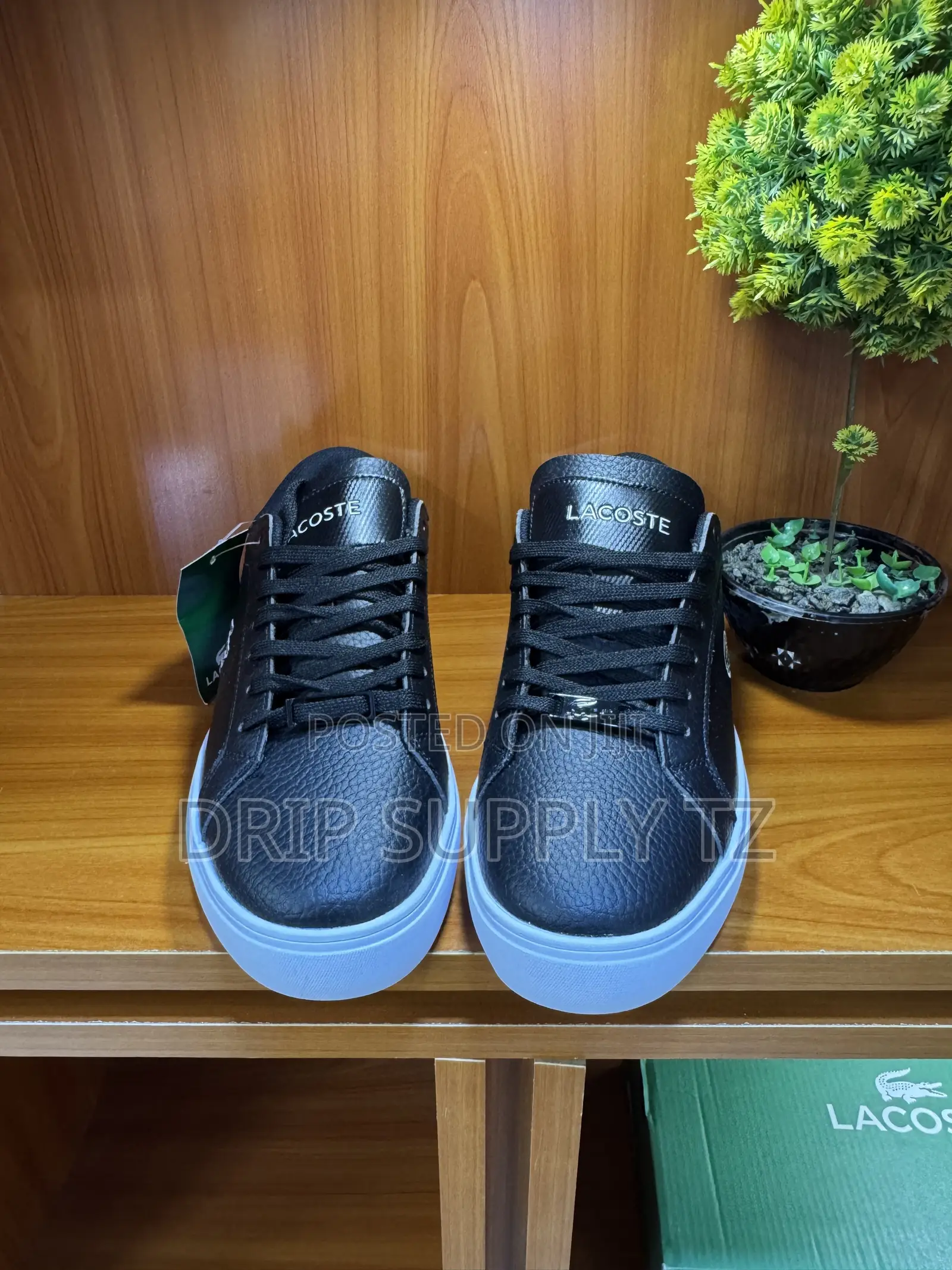 Lacoste Powercourt Leather Casual Sneakers