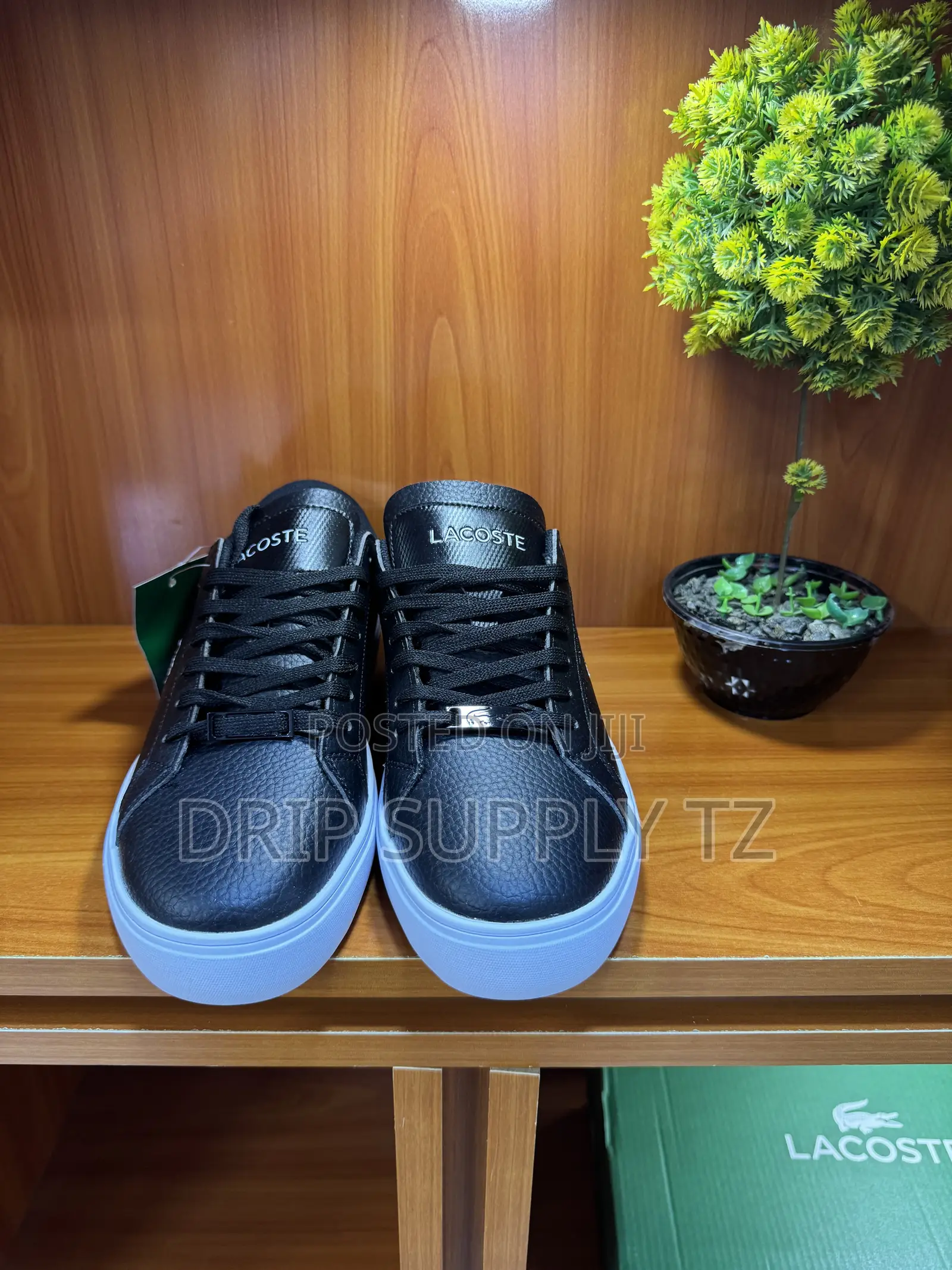 Lacoste Powercourt Leather Casual Sneakers