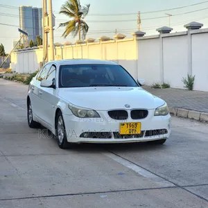 BMW 3 Series 2010 White