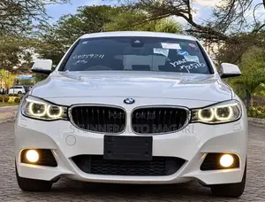 BMW 3 Series 2013 Pearl