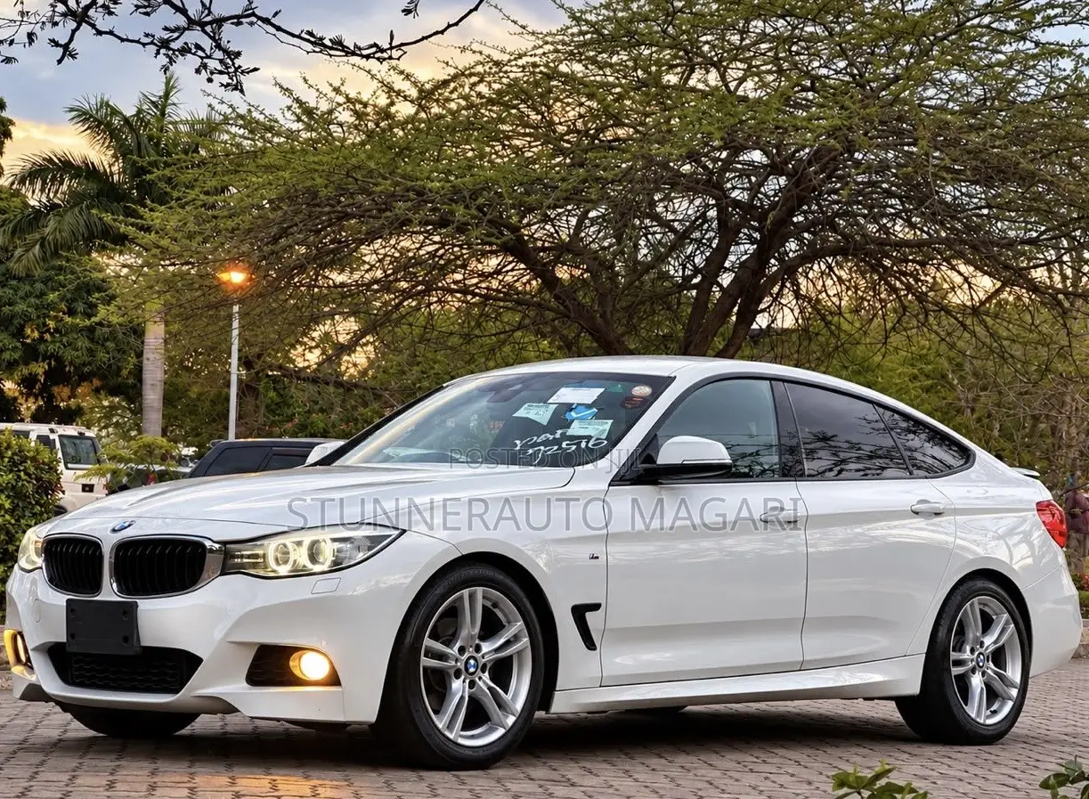 BMW 3 Series 2013 Pearl