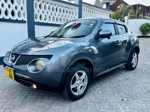 Nissan Juke 2011 Gray