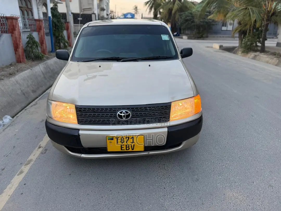Toyota Probox 2011 Beige