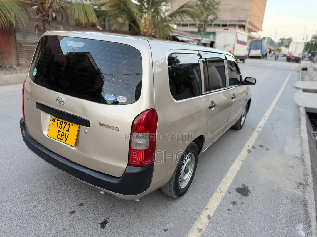 Toyota Probox 2011 Beige