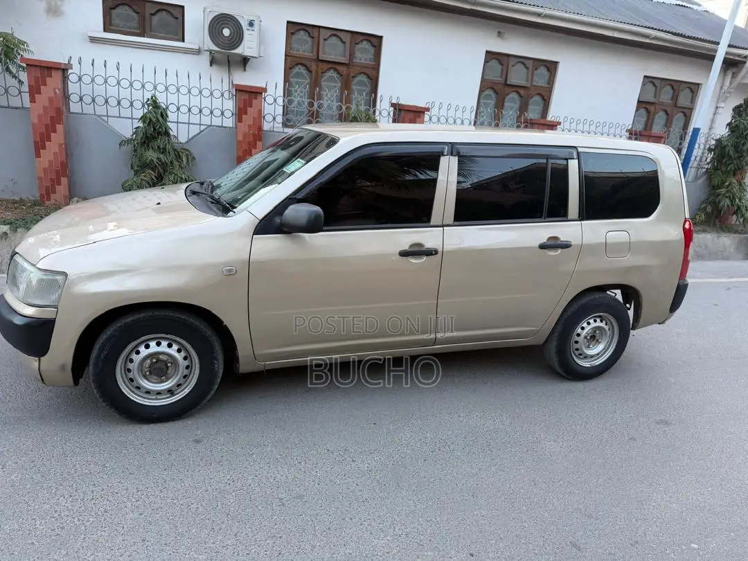 Toyota Probox 2011 Beige