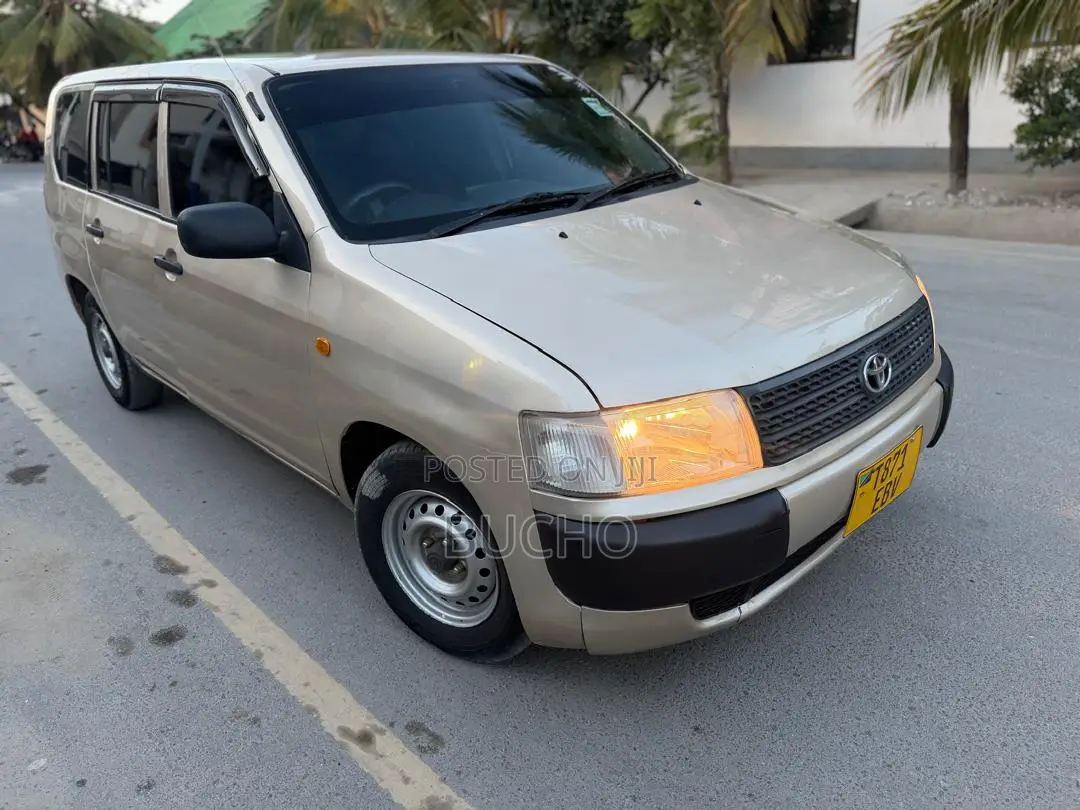 Toyota Probox 2011 Beige