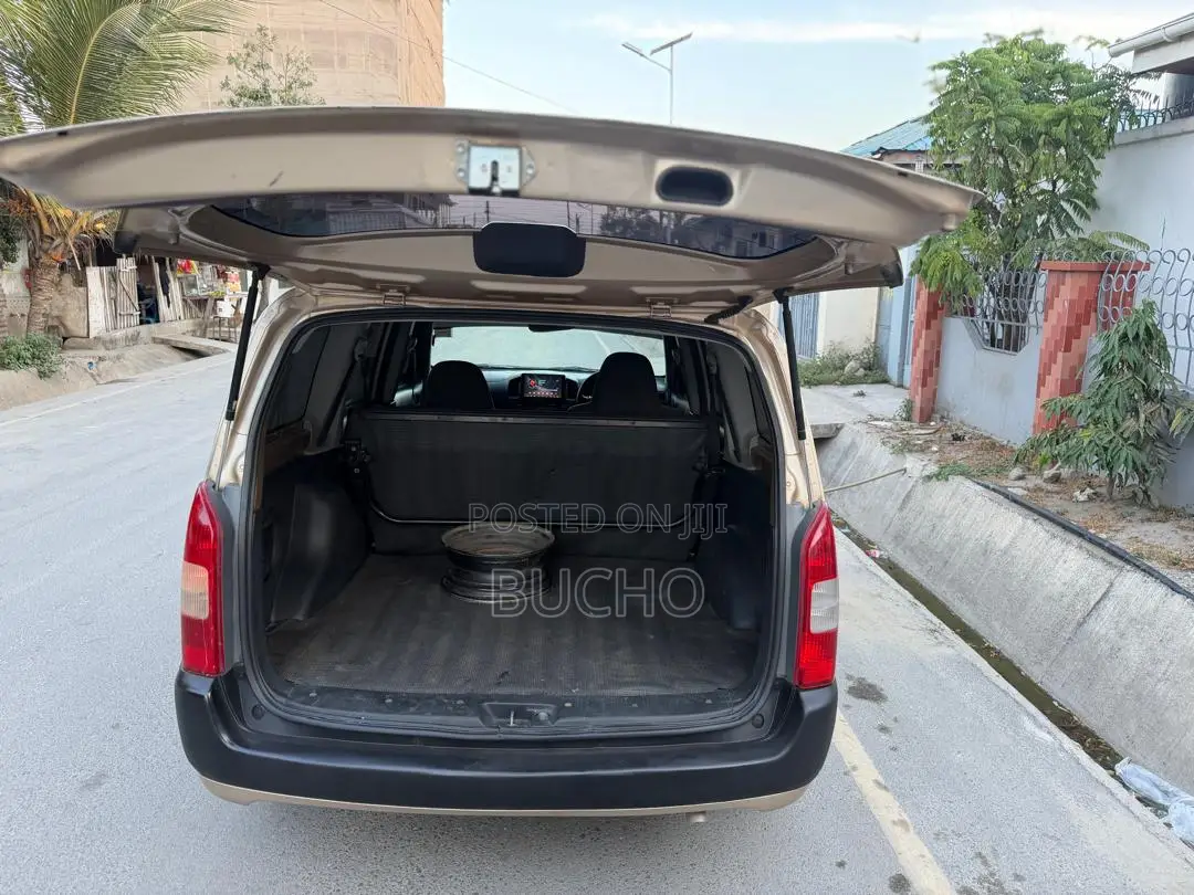 Toyota Probox 2011 Beige