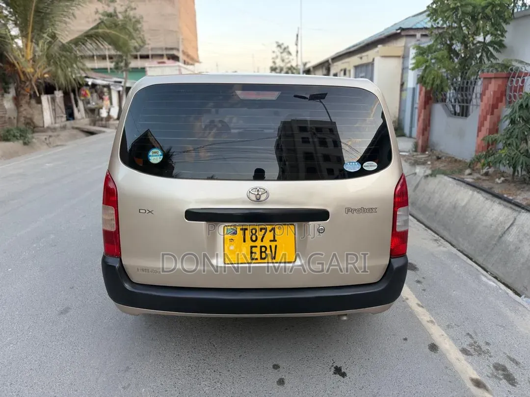 Toyota Probox 2006 Gold