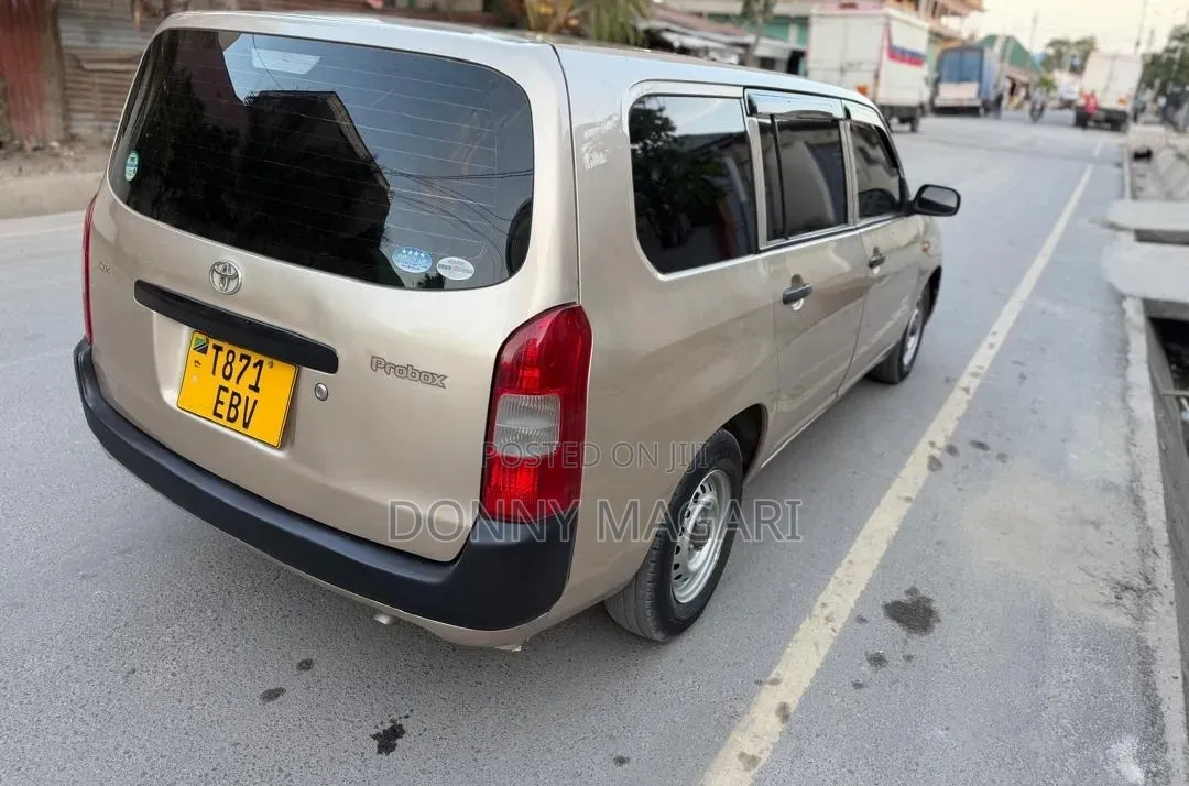 Toyota Probox 2006 Gold