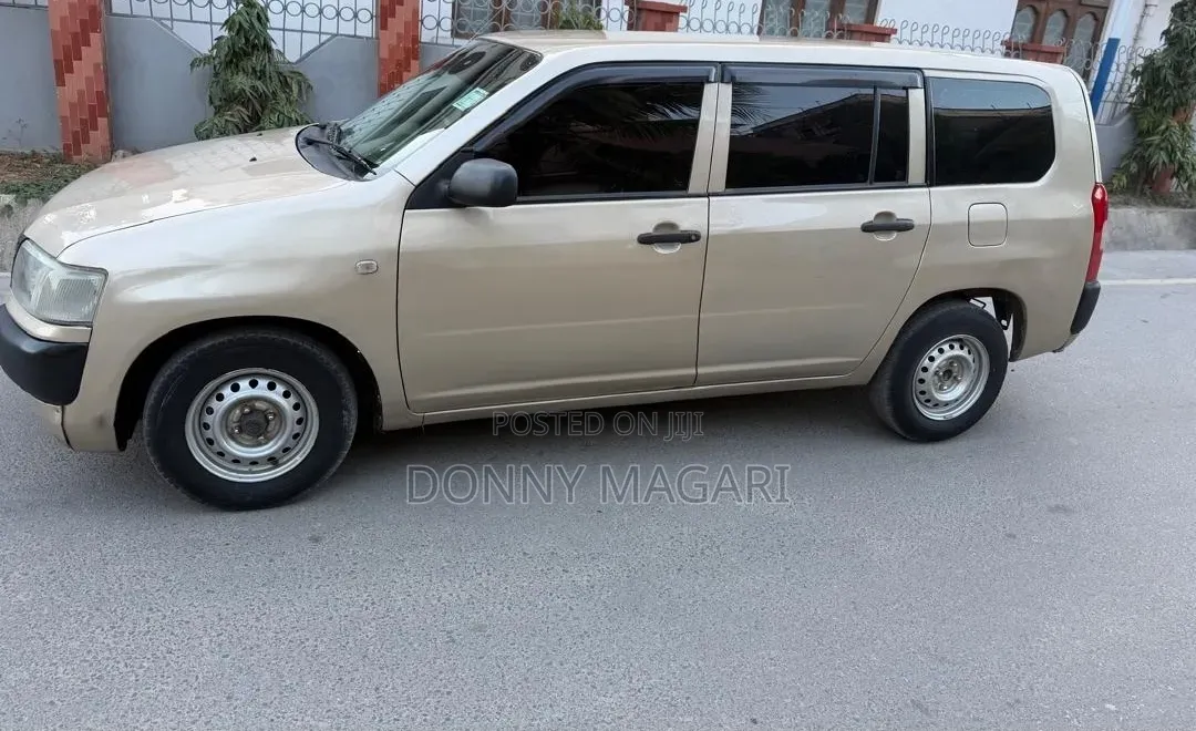 Toyota Probox 2006 Gold