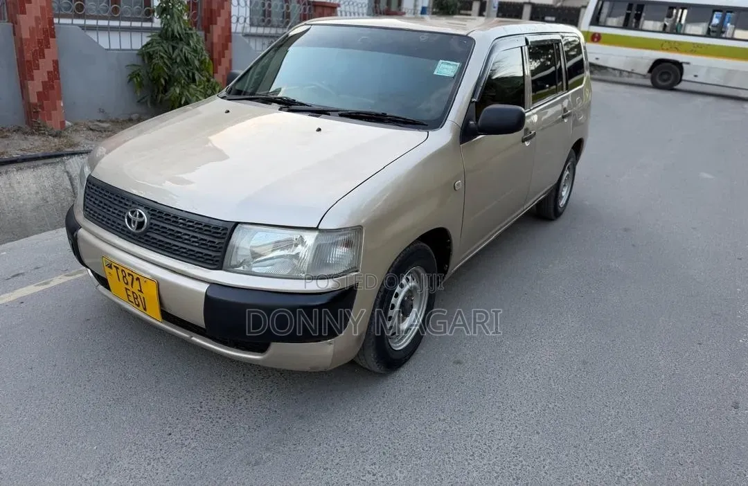 Toyota Probox 2006 Gold