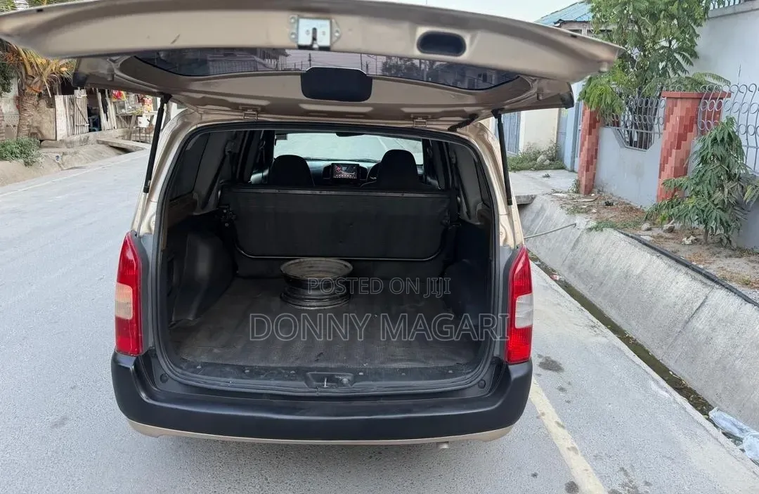 Toyota Probox 2006 Gold