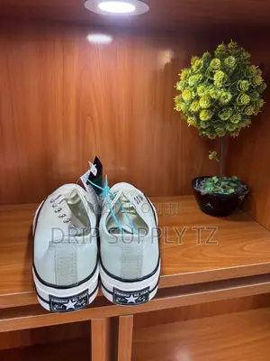 Converse Chuck 70 Low 